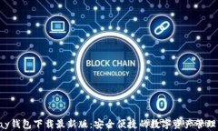Topay钱包下载最新版：安全
