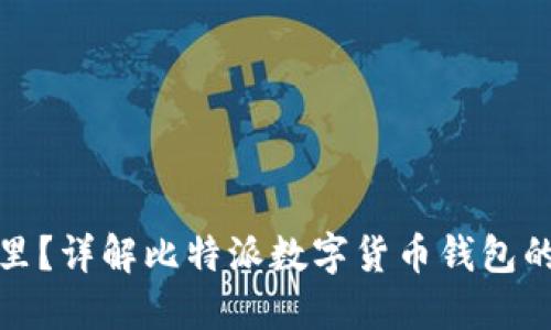 比特派密钥在哪里？详解比特派数字货币钱包的使用和安全措施