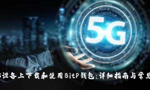 如何在iOS设备上下载和使用BitP钱包：详细指南与常见问题解答