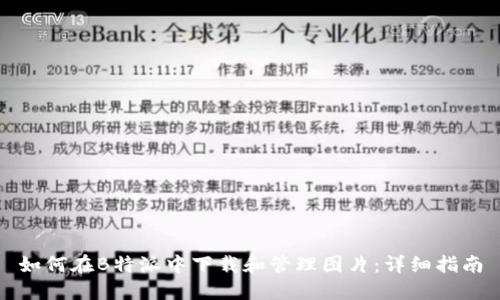 如何在B特派中下载和管理图片：详细指南