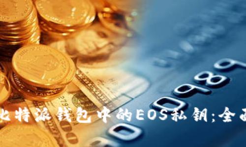 如何查看比特派钱包中的EOS私钥：全面步骤解析