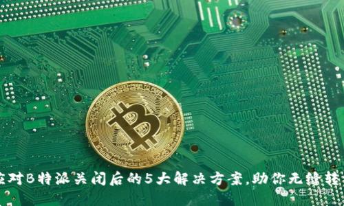 应对B特派关闭后的5大解决方案，助你无缝转型